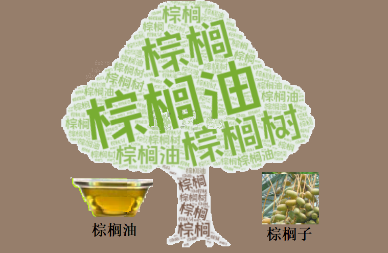 棕榈油逼近4639林吉特 能源与增产博弈(图1)