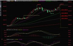 黄金创纪录反弹可能源于大规模投机行为？