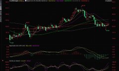 知名趋势预言家：金价今年可能飙升至3000美元